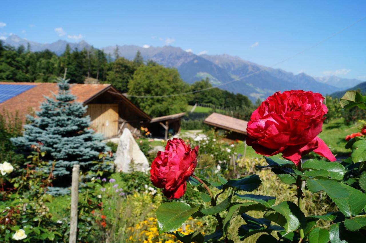 Appartements Grumserhof Merano Bagian luar foto